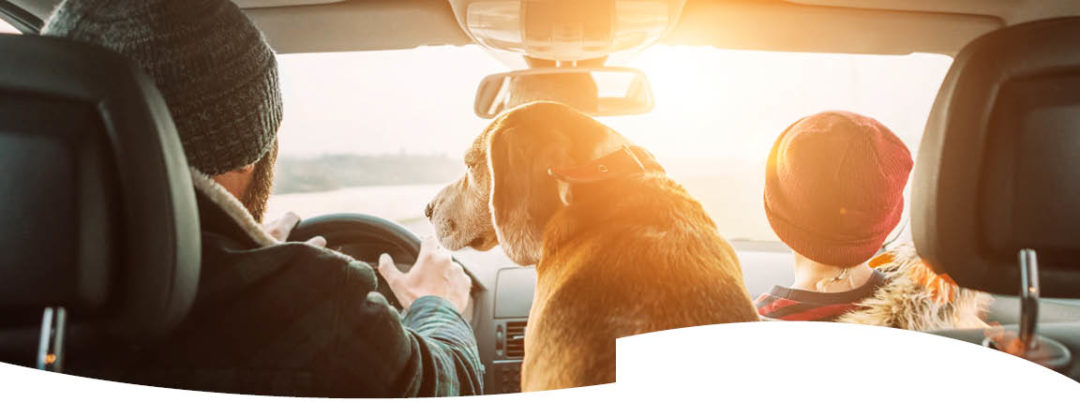 Auto ID Card Patriot Insurance